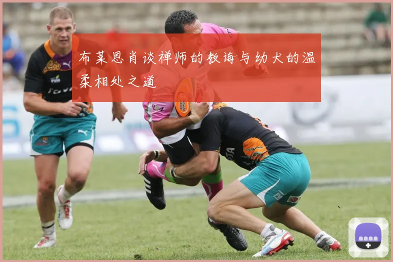 布莱恩肖谈禅师的教诲与幼犬的温柔相处之道